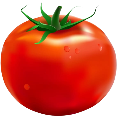 Tomato